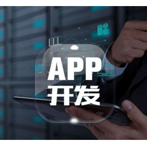 共享软件开发 深圳软件开发商家如何打造高效解决方案